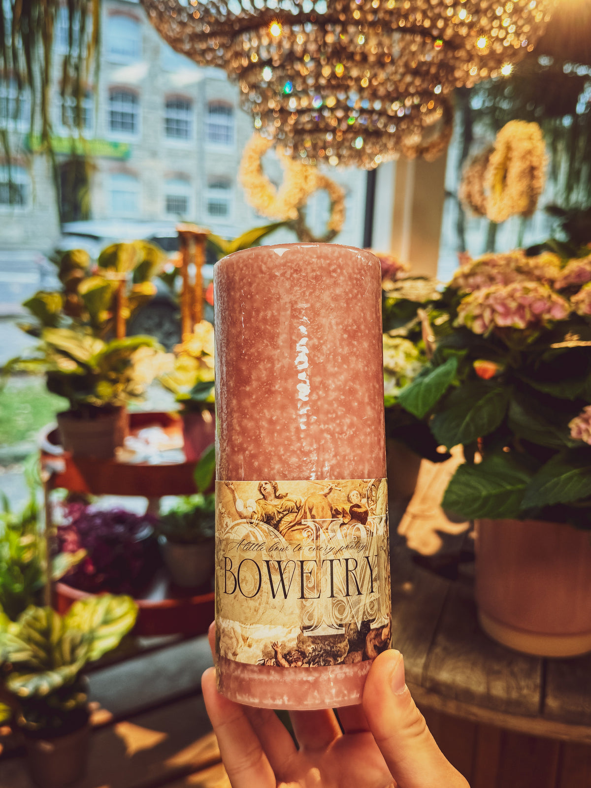 Bowetry x HÖME